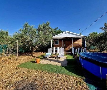 Un Chalet Dans Les Oliviers 3 Nuits Mini 尼姆 外观 照片