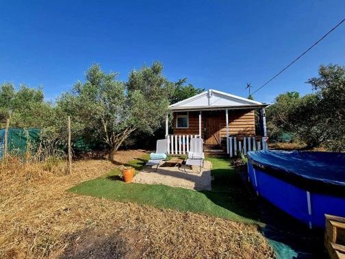 Un Chalet Dans Les Oliviers 3 Nuits Mini 尼姆 外观 照片